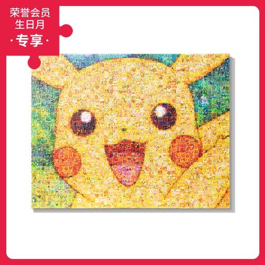 366片 无框平面拼图 HN1018 马赛克皮卡丘 商品图0