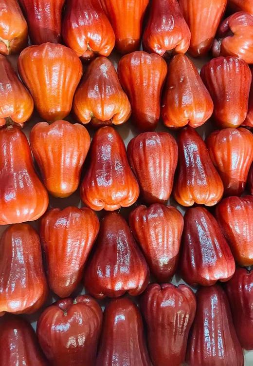 红夫人商城 海南空运 黑金刚莲雾 整箱当季一级大果3斤孕妇水果 商品图5