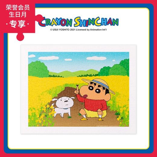 300片 平面拼图 塑料拼图 H2689 蜡笔小新- 花田探险 商品图0