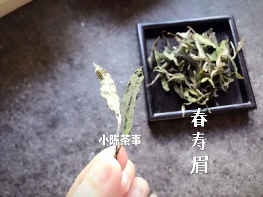 村姑陈囤货推荐：浓郁栀子花香的2018一级春寿眉（4斤收藏装） 商品图3