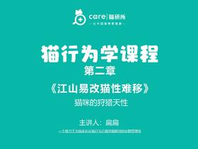 第四课《猫咪的狩猎天性》