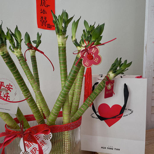 节节高升观音竹 · 年宵瓶花 商品图2