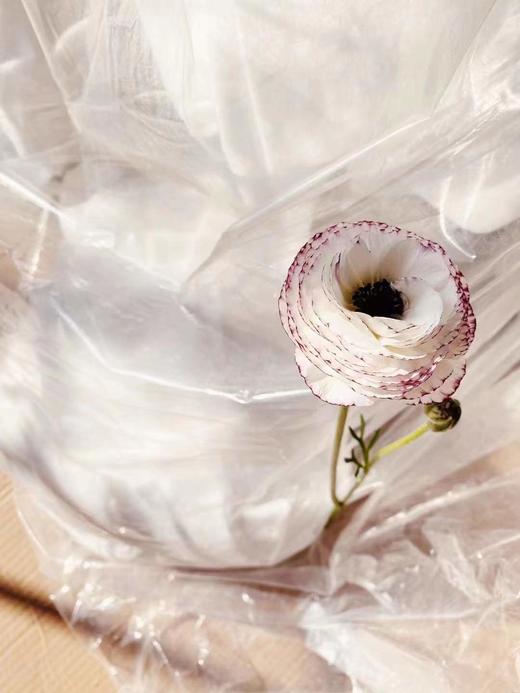 配花|洋牡丹混色花边 商品图3