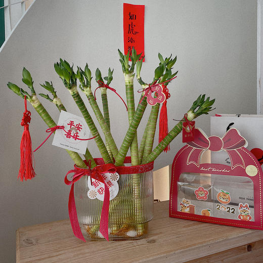 节节高升观音竹 · 年宵瓶花 商品图1