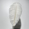 永生花材 ｜ 火鸟毛白色 商品缩略图0