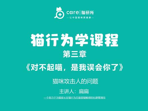 第九课《猫咪攻击人的问题》 商品图0