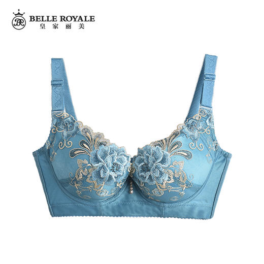 皇家丽美调整型厚款文胸聚拢美背有钢圈手工刺绣罩杯文胸HYQY-3 商品图0
