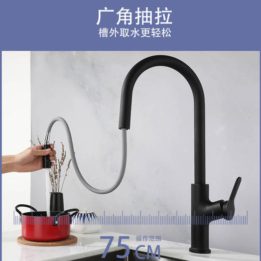 AGL格朗 抽拉 菜盆龙头 多伦多5014 黑色（不包含尖头软管） 商品图1