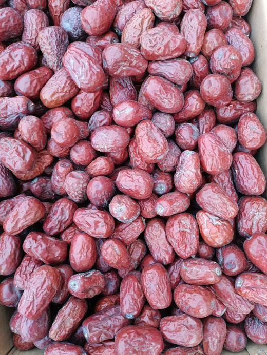 新疆红枣 商品图0