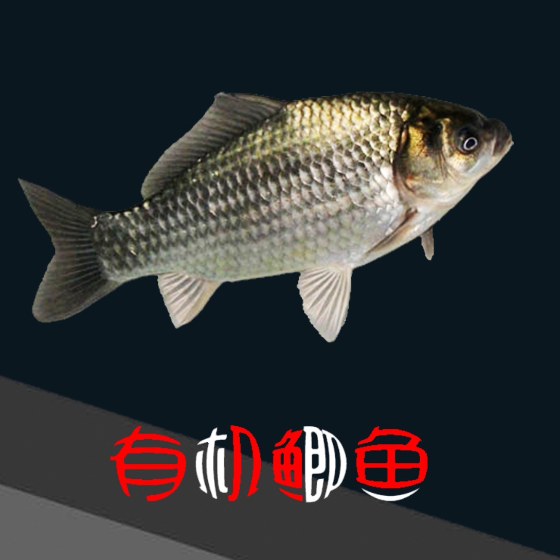 丨有机丨南都湖 鲫鱼 翘嘴鱼 5斤起发，可以单买，可以混搭 翘嘴鱼收到后需要自己去除内脏，鲫鱼已经去鳞、去内脏