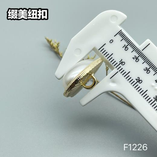 F1226(整包购买) 商品图5