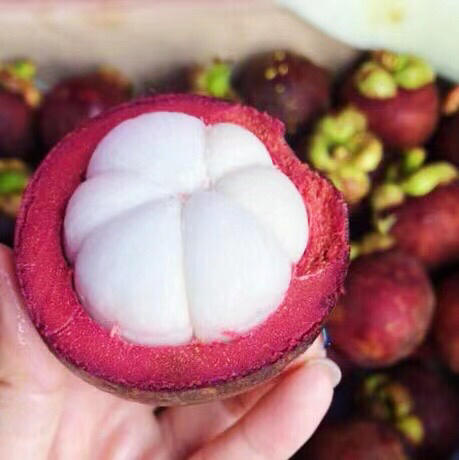 泰国山竹，礼盒装白胖子，品质非常棒的新鲜山竹，叶瓣青绿，果身软🍃去火神器。礼盒5斤 商品图4