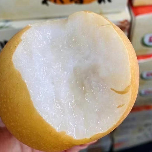 都乐羊脂梨羊脂秋香梨都乐大牌果型不大肉质脆甜果肉干净多汁