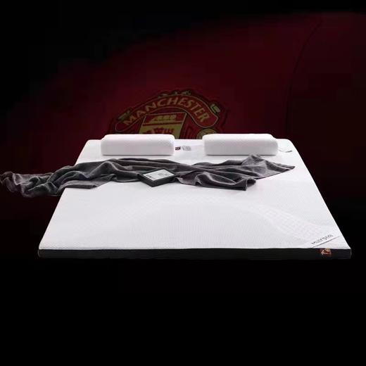 【春上新】10楼 梦百合 传奇7号0压薄垫5公分( 90*200/150*200/180*200*5CM) 吊牌价1499/2499/3199元   活动价1199/1999/2559元 商品图0