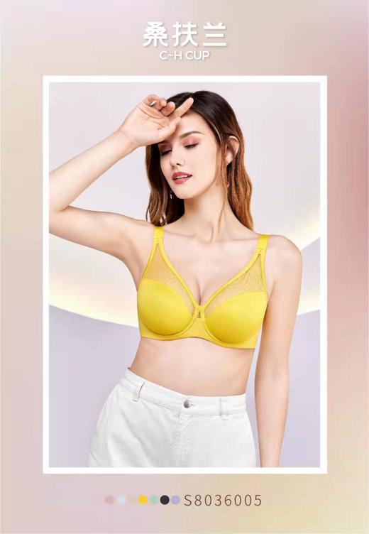 桑扶兰文胸 商品图3