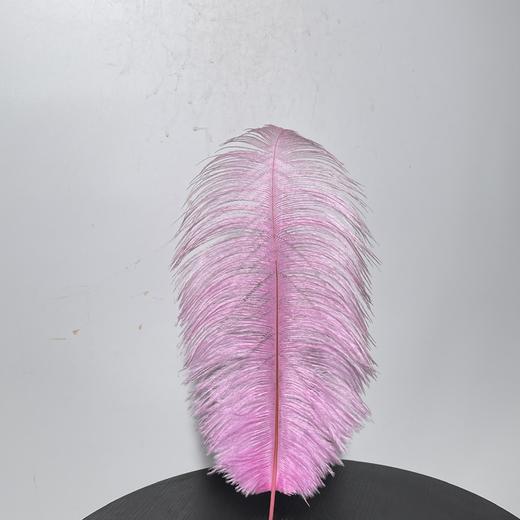 永生花材 ｜ 火鸟毛粉色 商品图0