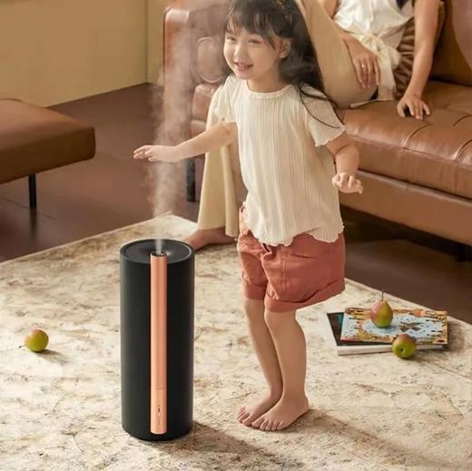 爱登39度加湿器 商品图6