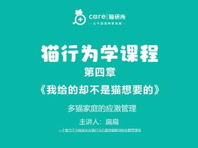 第十一课《多猫家庭的应激管理》