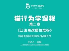 第六课《猫咪的躲藏和隐藏天性》