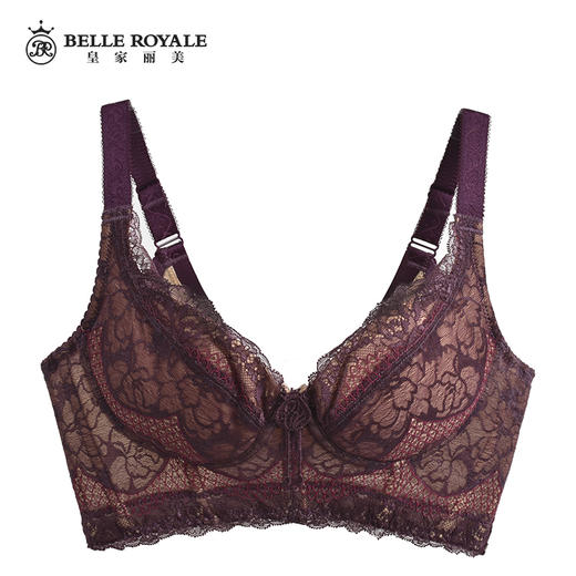 【秒杀品不退不换】皇家丽美蕾丝收副乳五排扣聚拢调整型文胸W1688-2 商品图2