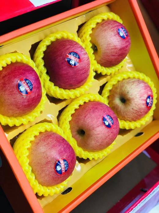 春节中国红二合一苹果礼盒【TC】 商品图1