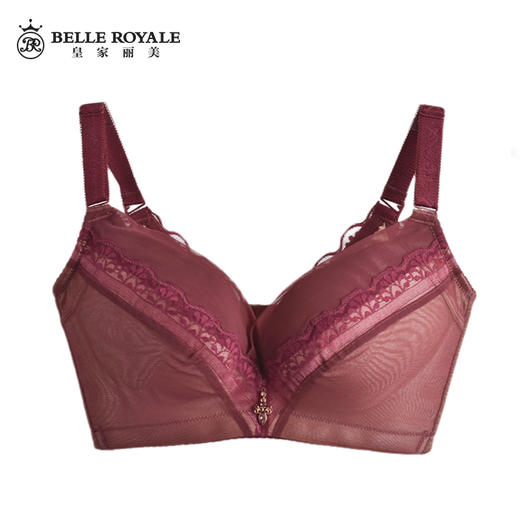 【秒杀品不退不换】皇家丽美薄款聚拢收副乳大胸专属文胸WW1601-1 商品图1
