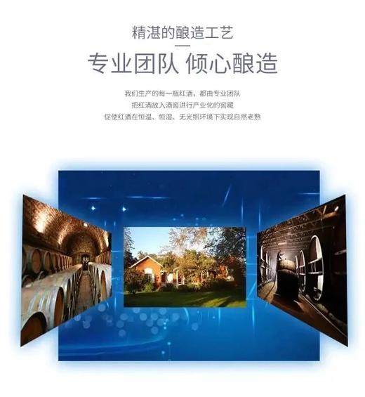 肩比拉菲·法国白马歌德复古歪脖子干红红酒原酒进口13%vol750ml*6瓶装 商品图5