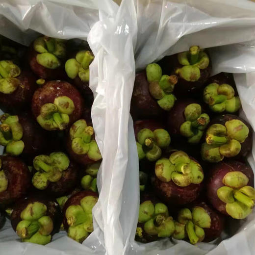 泰国山竹，礼盒装白胖子，品质非常棒的新鲜山竹，叶瓣青绿，果身软🍃去火神器。礼盒5斤 商品图13