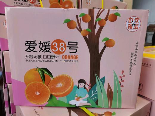 爱媛果冻橙礼盒装 商品图0