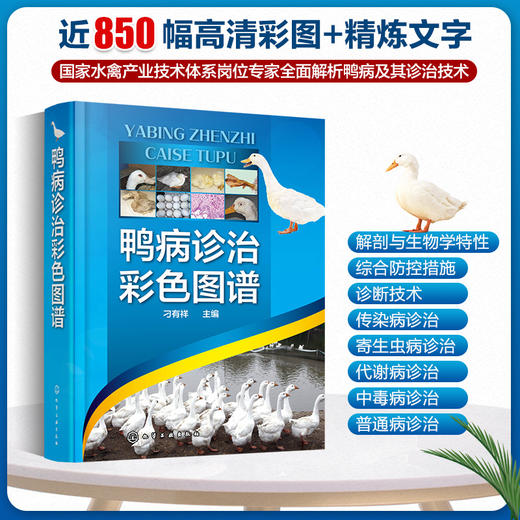 鸭病诊治彩色图谱 鸭病诊断防治及类似疾病鉴别实用指导书 鸭病治疗诊断书籍 鸭病预防书籍 兽医应用书籍 家禽常见病书籍 禽病预防 化学工业出版社 9787122396662 商品图4