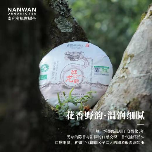 南宛有机古树普洱茶熟普云南熟普洱饼茶熟普茶饼班龙韵200g、357g支持自提 商品图2