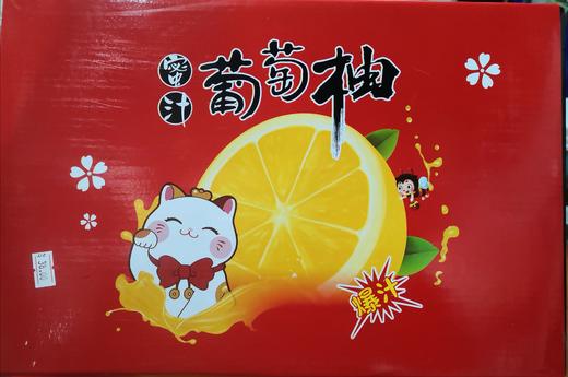 葡萄柚礼盒【TC】 商品图0