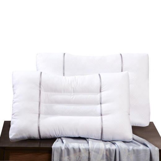 决明子香蒲草本对枕芯70*45cm 商品图0