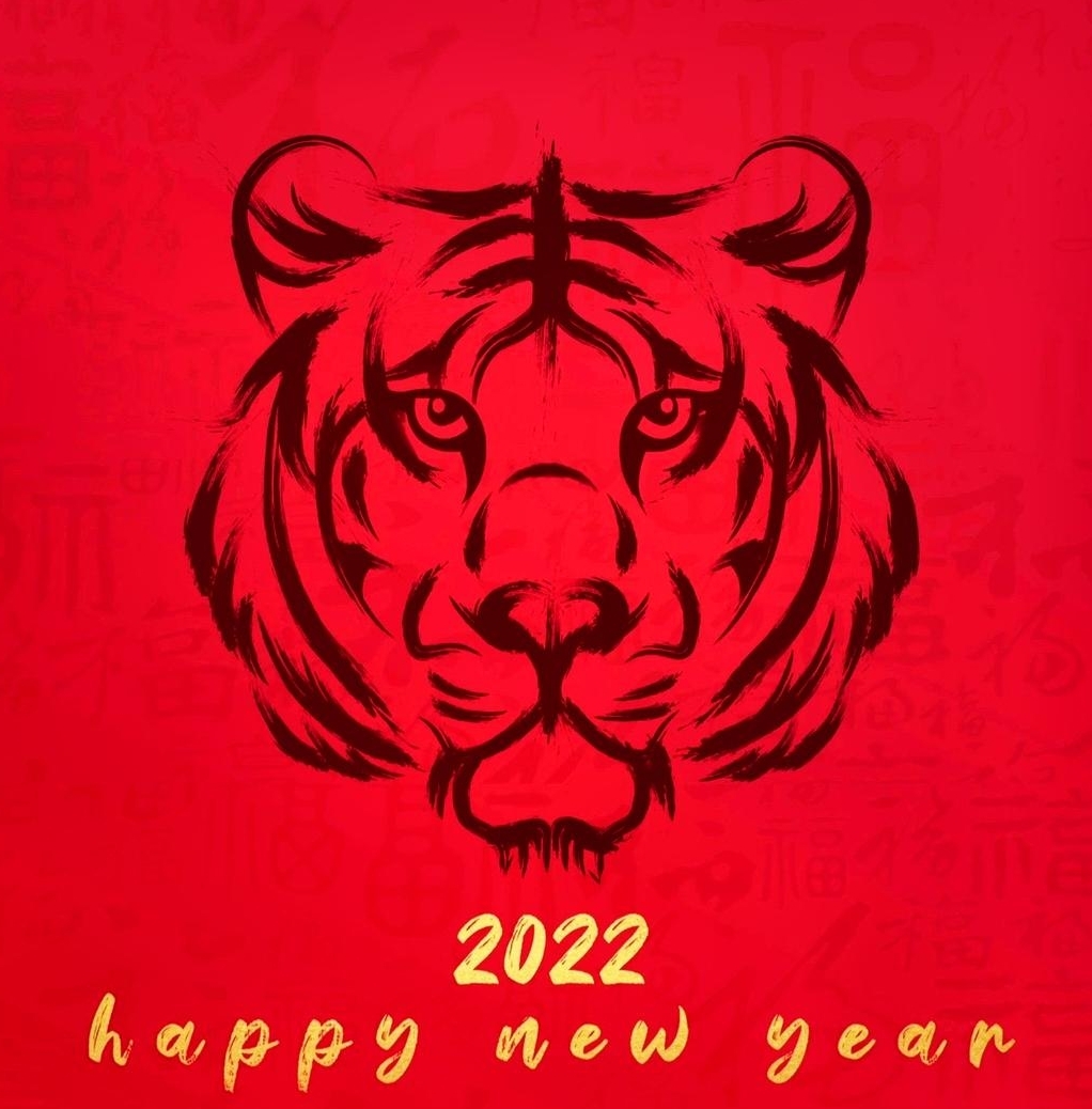 华东新年中粮500