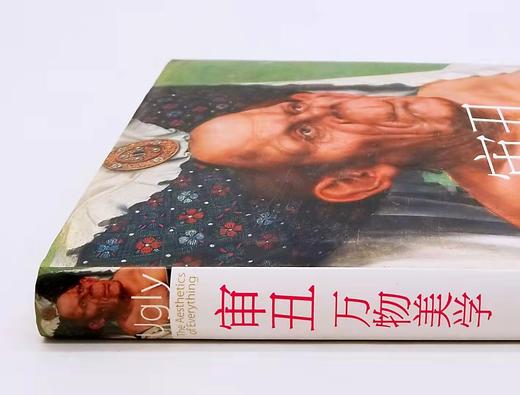 《审丑万物美学》，精装，16开，[英]史蒂芬.贝利著，金城出版社2014年版，定价138，售价55元，非偏远地区包邮。品相9成。 商品图1