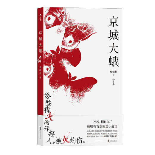 后浪正版 京城大蛾 甄明哲著 城镇青年理想现实生活 中国当代文青春短篇小说集书籍 商品图4