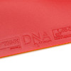 斯帝卡Stiga 白金版DNA M 专业涩性反胶套胶 商品缩略图2