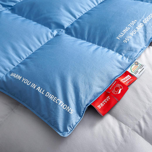 梦洁波兰进口白鹅绒四季被/厚被 净彩 商品图7