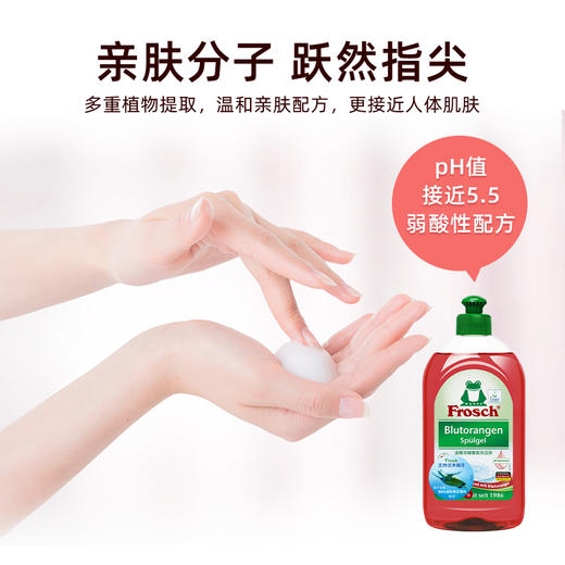 【Frosch】血橙浓缩餐具洗洁液 500ml 商品图4