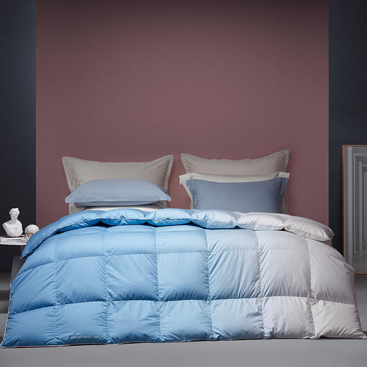 梦洁波兰进口白鹅绒四季被/厚被 净彩 商品图1