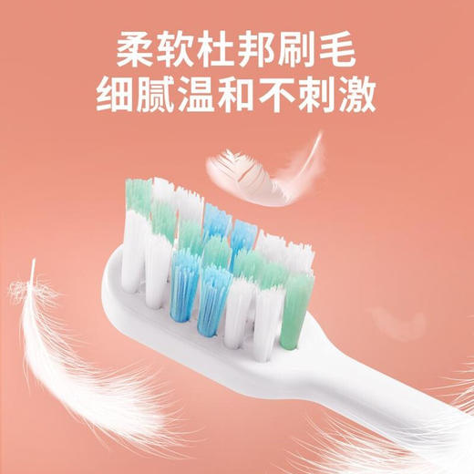 海尔电动牙刷 三档模式声波振动 全自动牙刷72小时续航美国杜邦软毛刷头 全身防水 象牙白经典款 商品图2