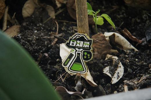 日知录周边套组——日新说（徽章×2，冰箱贴×2） 商品图4