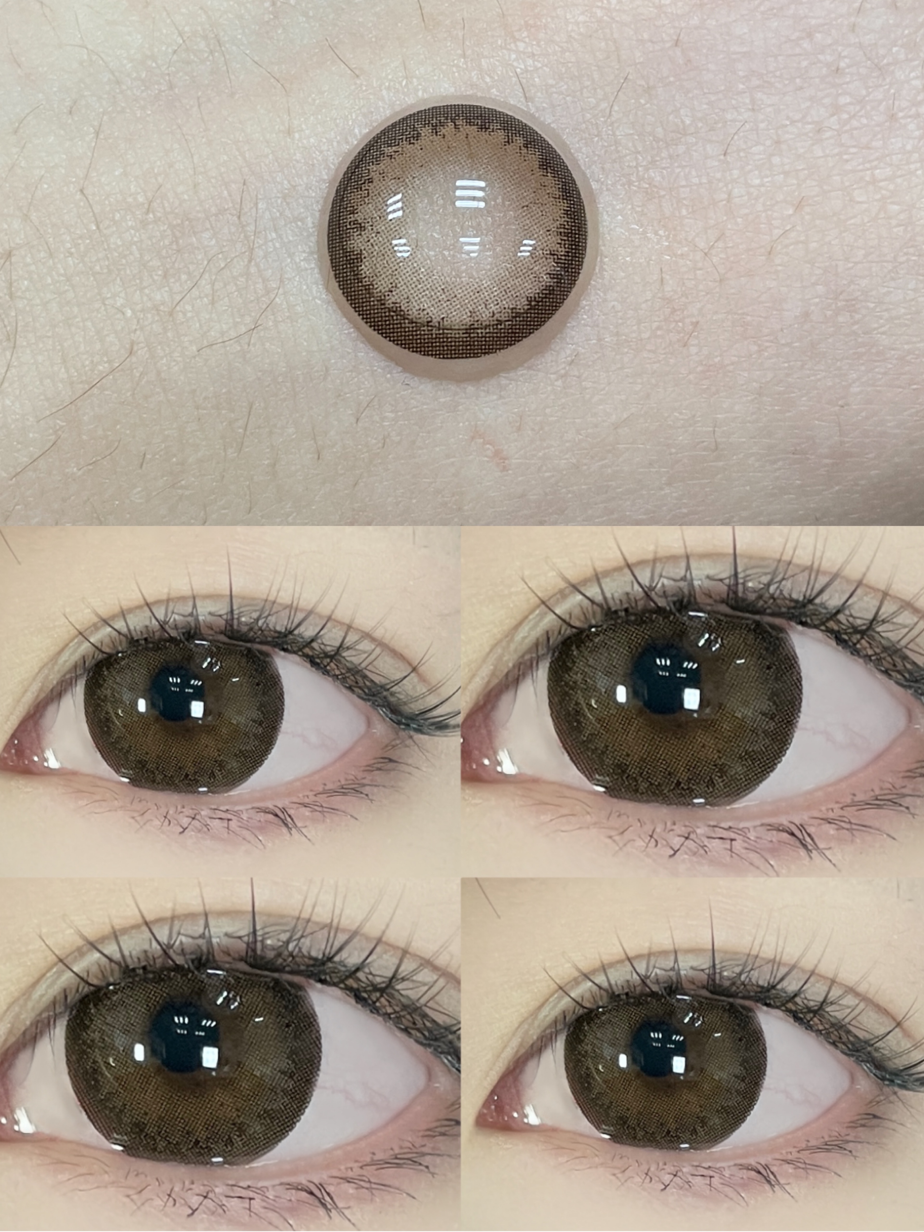 【大直径日抛】燕麦拿铁·Winni丨14.5mm（日抛/一盒10片装）