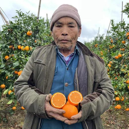 广西武鸣沃柑、现摘水果、鲜嫩易剥、它是橘柑中的小甜甜！ 商品图0
