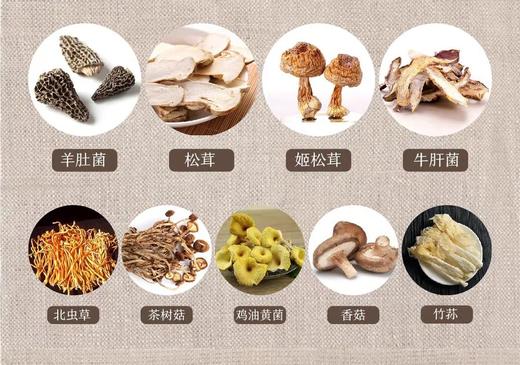 【东北特产 人参菌王养生汤包】东北特产 人参菌王养生汤包 商品图3