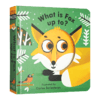 狐狸在干什么 英文原版绘本 Little Faces What Is Fox Up To 百变脸谱系列 精装立体变景书 动物系列 儿童英语启蒙纸板书 商品缩略图3