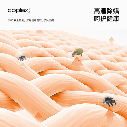 瑞士coplax烘干机家用干衣机暖被机小型烘被子神器烘衣服省电 商品图4