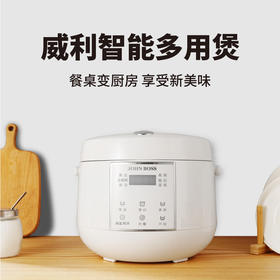 JOHN BOSS威利-（智能迷你煲）HE-WF20