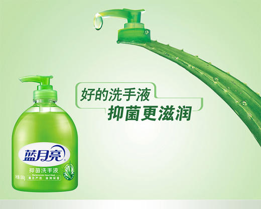 抑菌洗手液500g*2+抑菌洗手液瓶补500g*2 商品图0
