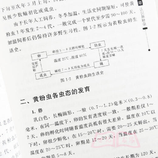 全新 农村书屋系列黄虫高效养殖技术一本通 黄粉虫养殖技术教程书籍 黄粉虫科学养殖 黄粉虫病害防治书 黄粉虫饲料配方书籍 无 9787122021946 商品图3